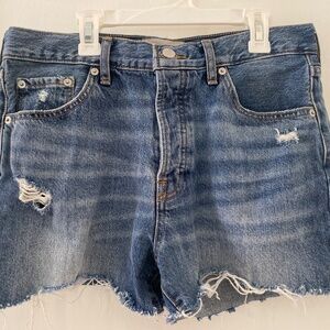 Everlane Relaxed 90’s Short